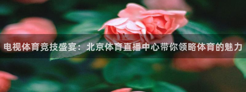 熊猫视频直播：电视体育竞技盛宴：北京体育直播中心带你领略体育的魅力